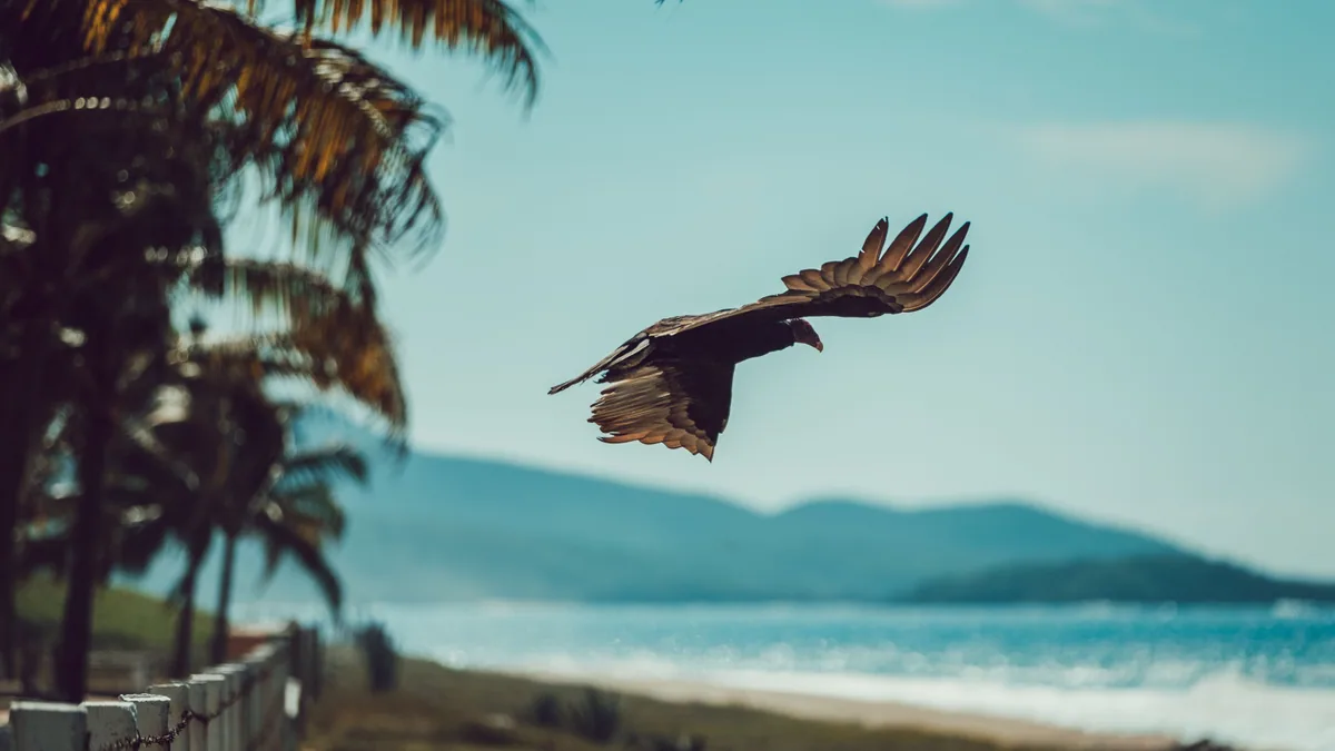 Travel scene in Mexico, illustrating eSIM Mexico Guide: Coverage, Networks, Setup and Costs