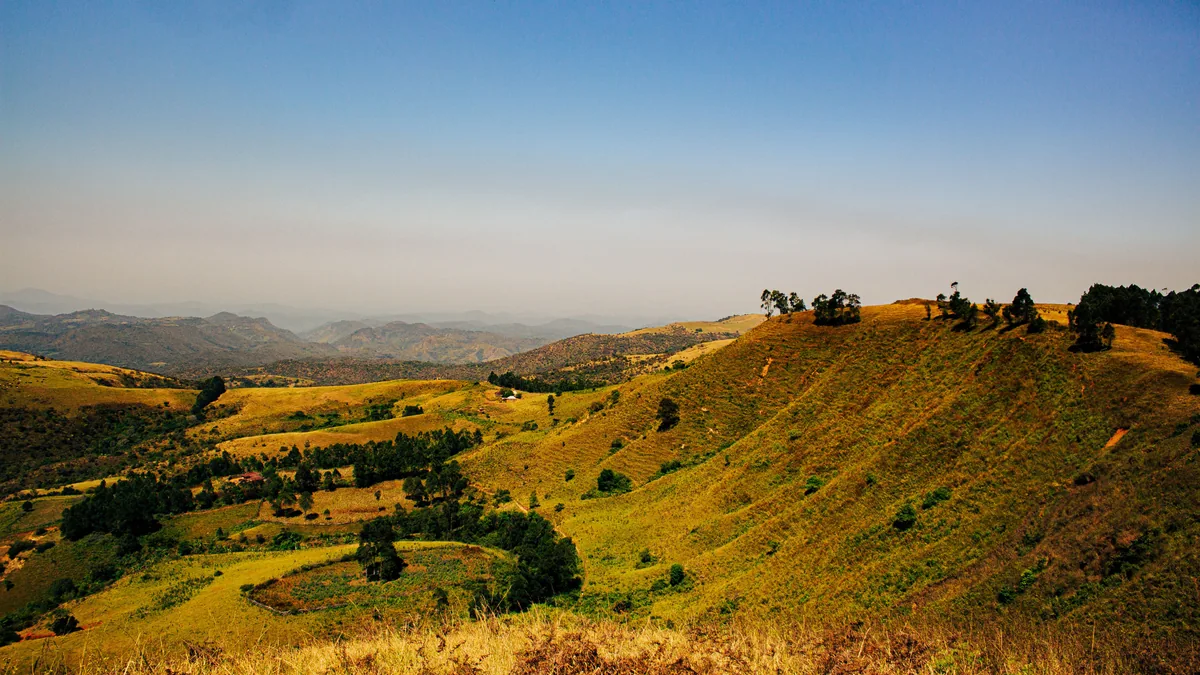 Travel scene in Africa, illustrating Africa eSIM