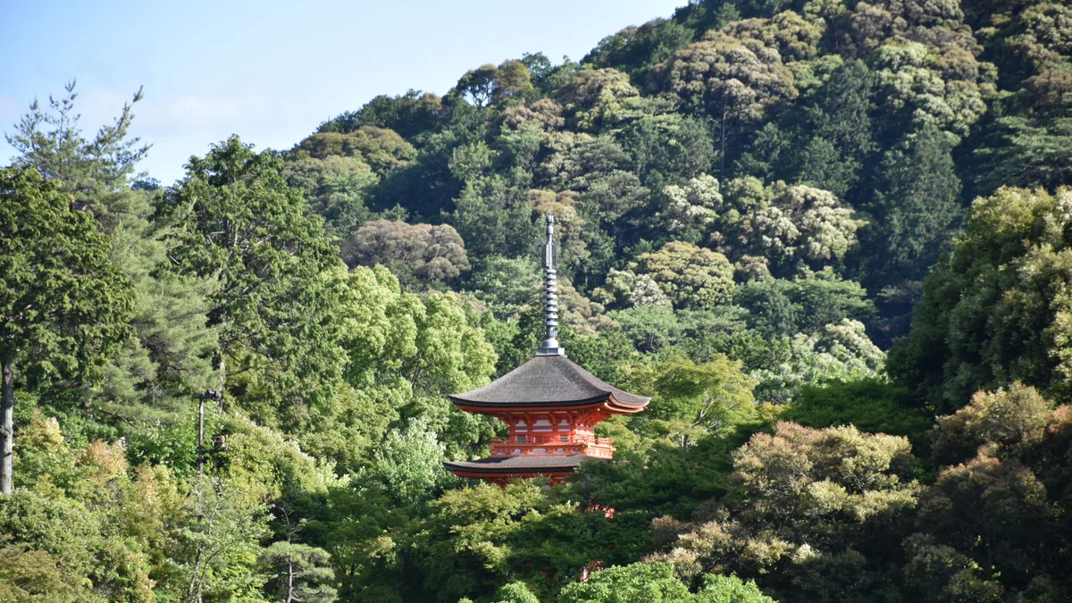 Travel scene in Japan, illustrating best eSIM Japan