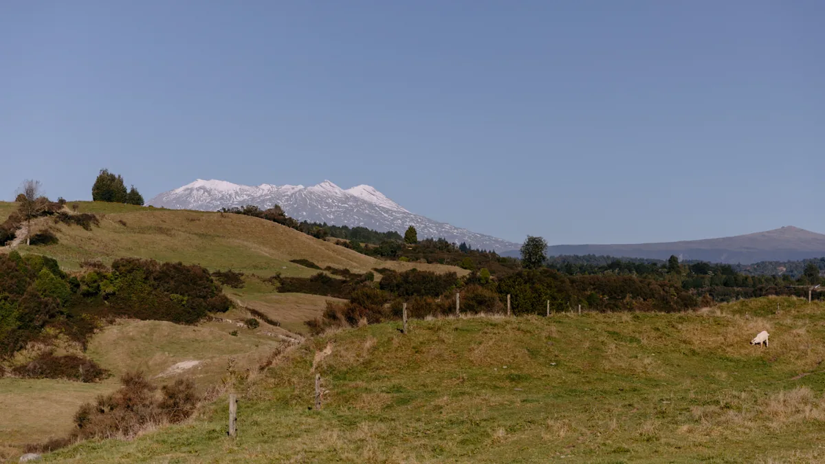 Travel scene in New Zealand, illustrating best eSIM New Zealand